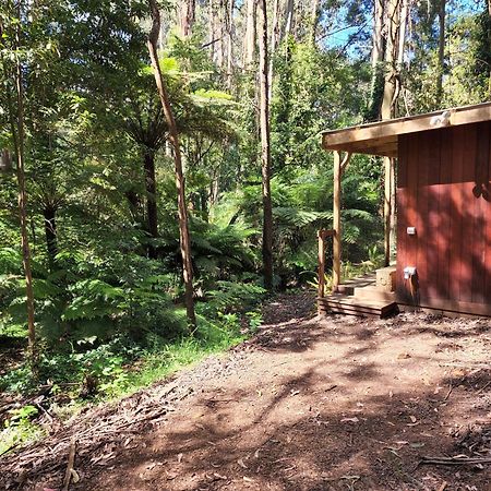 The Fernglen Forest Retreat Маунт-Данденонг Экстерьер фото