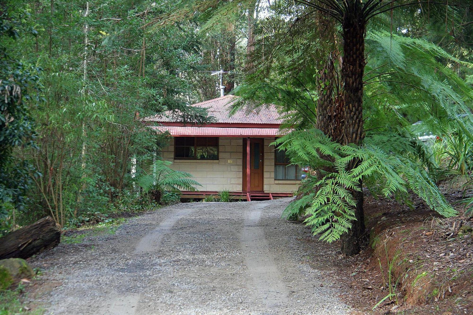 The Fernglen Forest Retreat Маунт-Данденонг Экстерьер фото