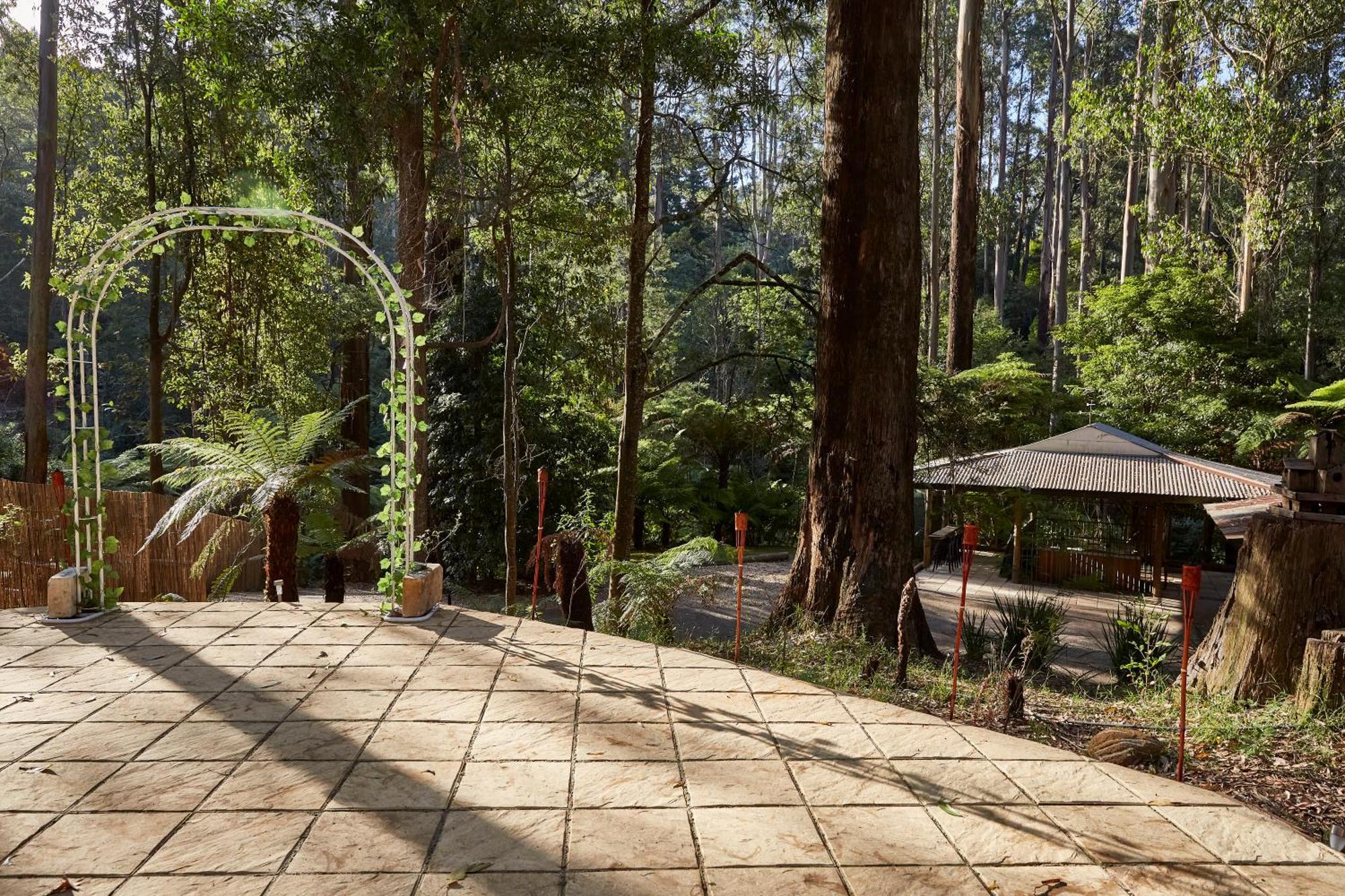 The Fernglen Forest Retreat Маунт-Данденонг Экстерьер фото